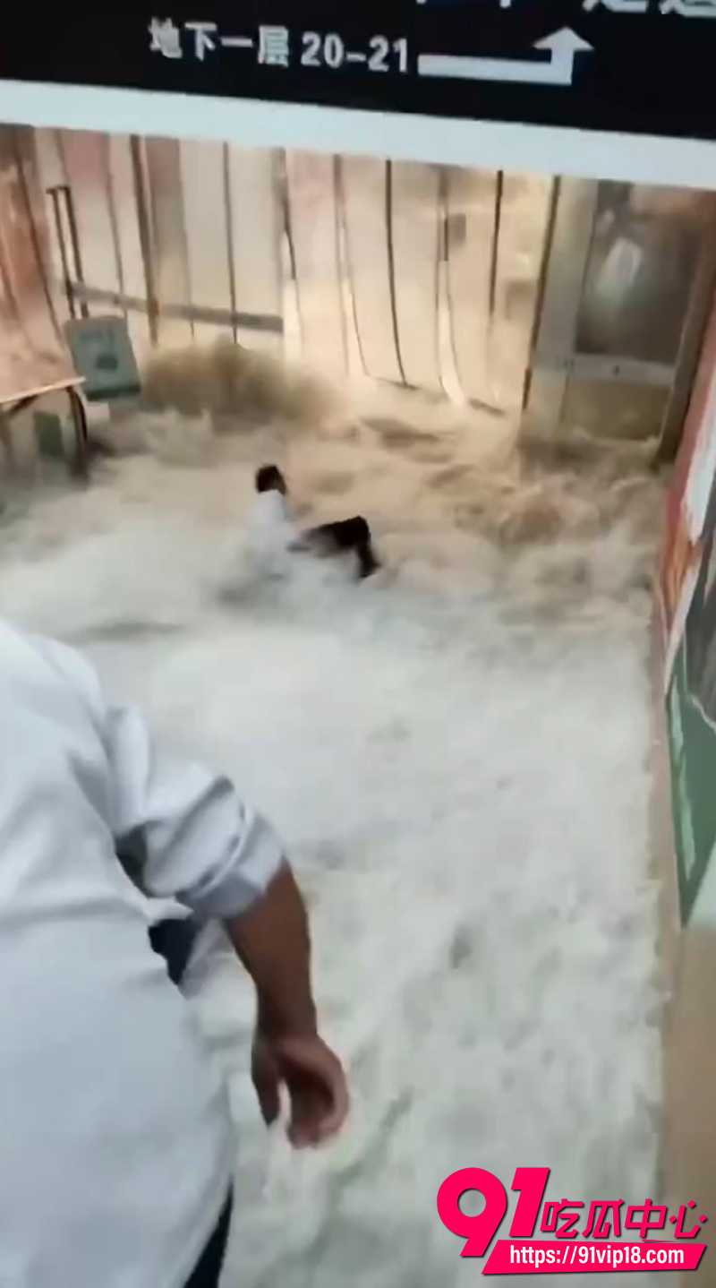 上海特大暴雨  3