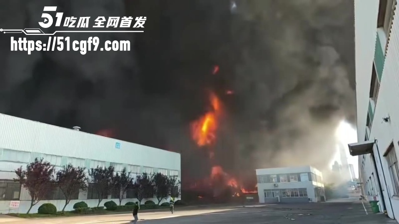 山东青岛黄岛区火灾 5 山东青岛黄岛区火灾 5