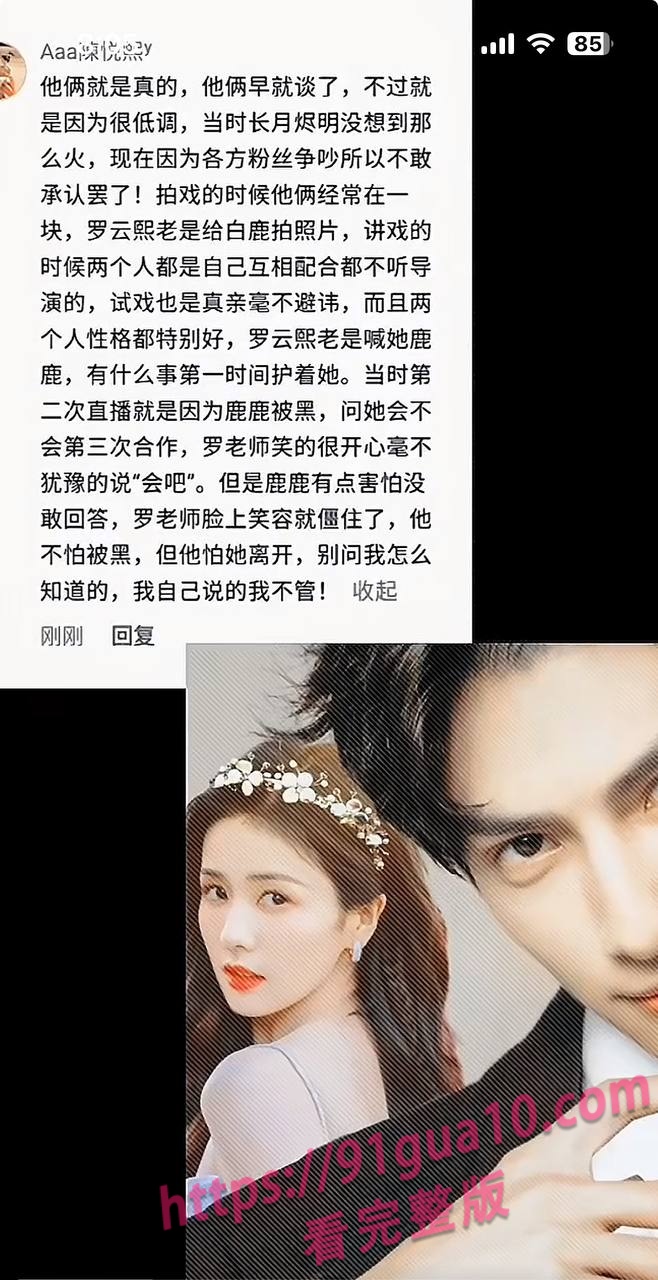 白鹿13 白鹿13