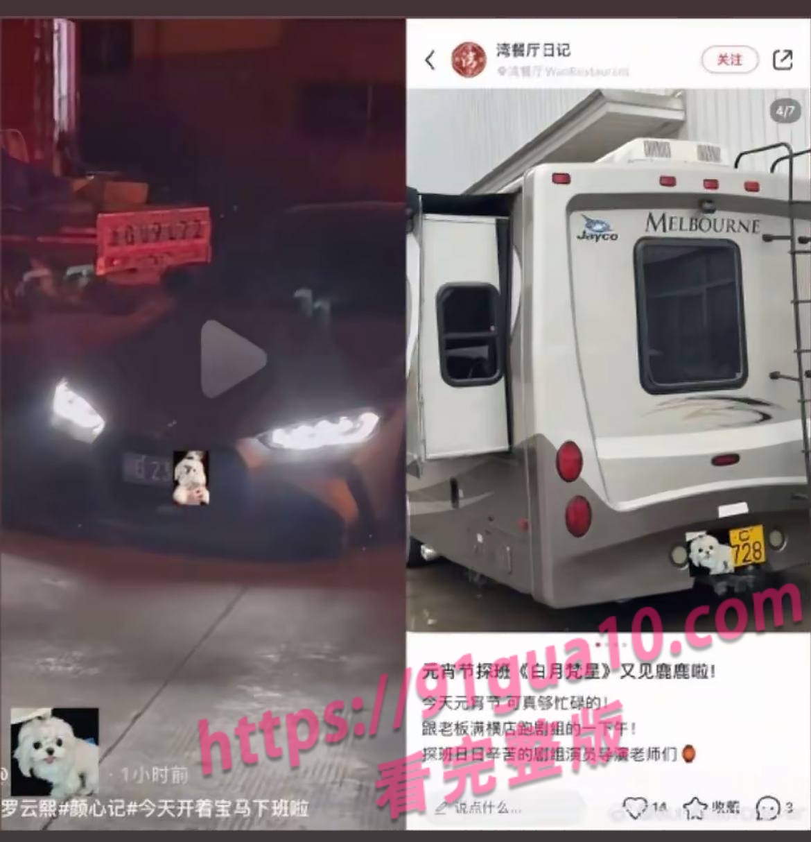 白鹿20 白鹿20