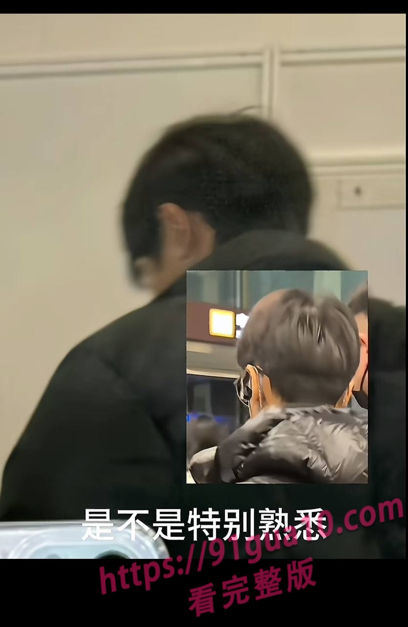 白鹿15 白鹿15