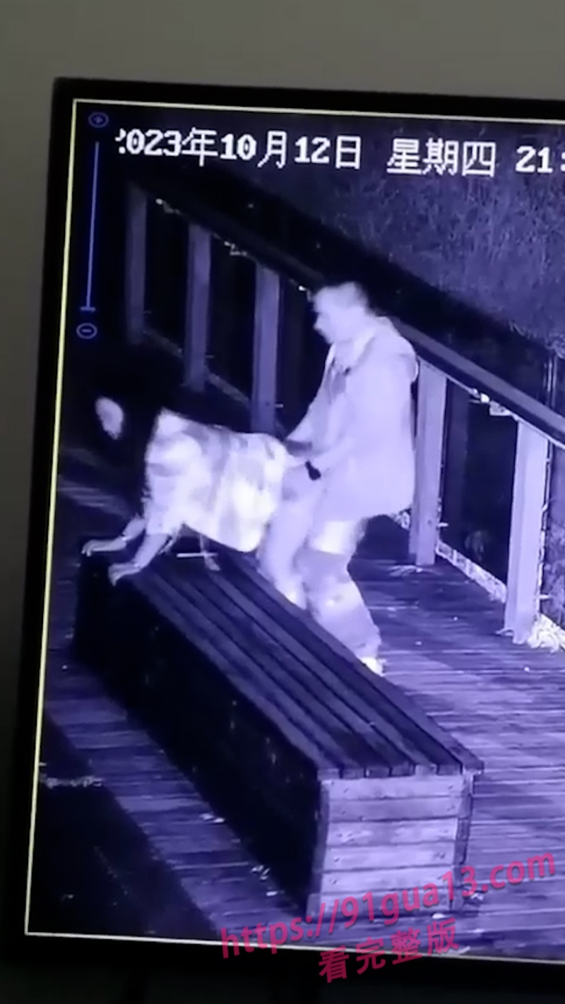 小情侣深夜公园野战!殊不知全被监控拍下!反应逗乐保安 配图2