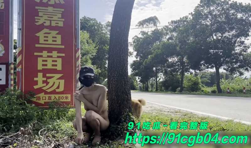 序列 2608.00163304
