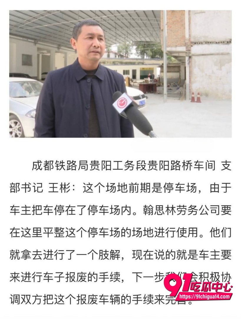 支部书记王彬遛狗打人事件2