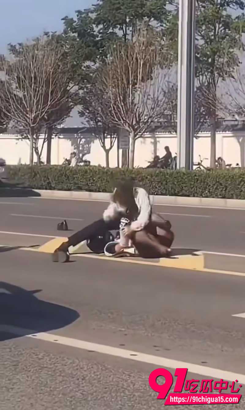 路怒男暴打小姐姐  4