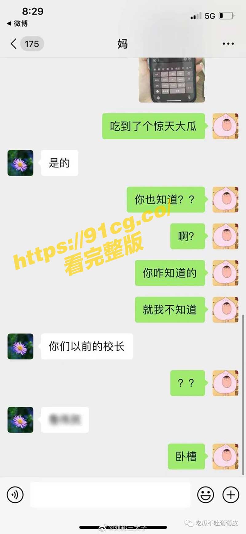 新瓜2.jpg 新瓜2.jpg