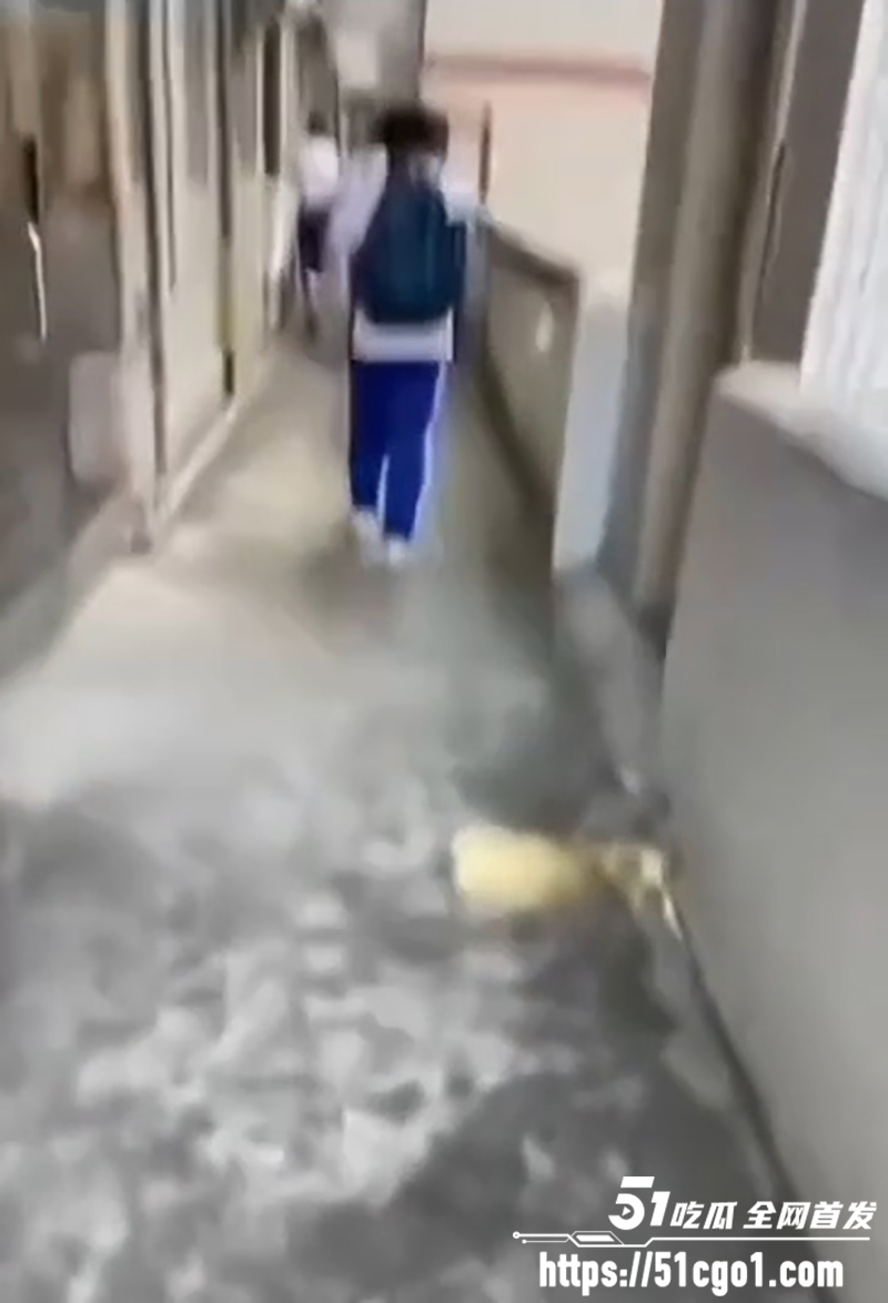 大昌市第七中学鬼敲门 4 拷贝 大昌市第七中学鬼敲门 4 拷贝
