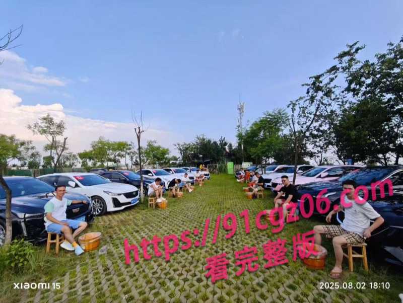凯迪拉克车友会3素材水印版