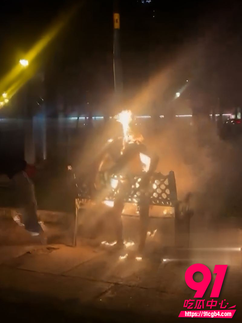 越南胡志明市公园自焚事件 1