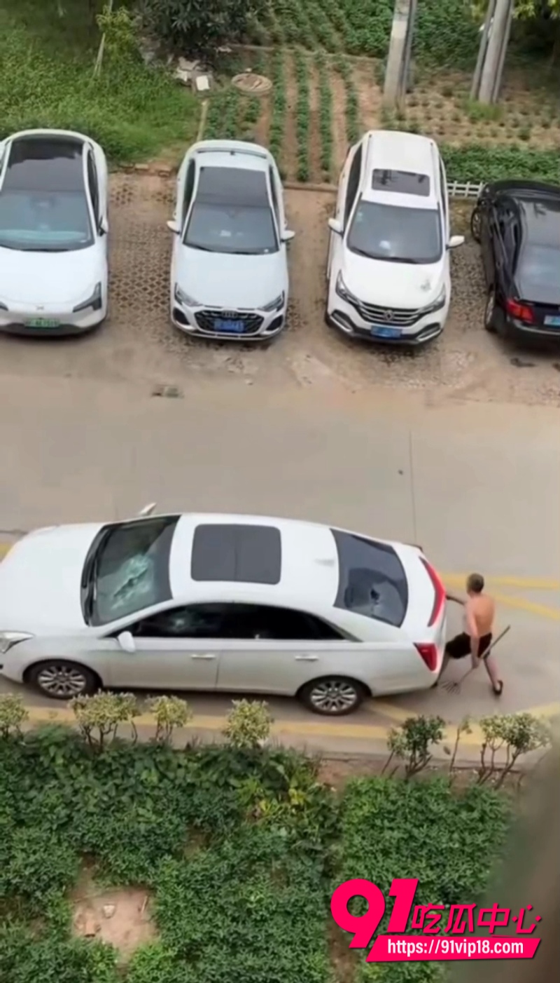 大爷砸车图片 2 大爷砸车图片 2