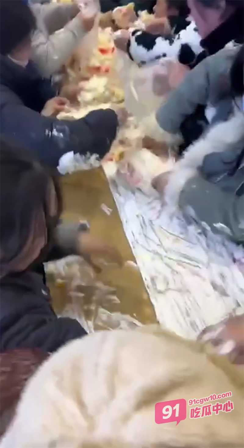 河南大饥荒复刻抢食名场面 城市中心广场哄抢蛋糕 大家是没吃过蛋糕吗？ 配图4