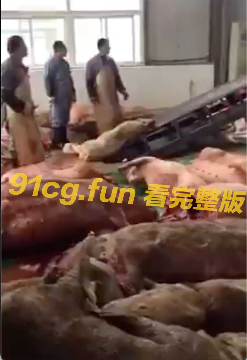 黑心加工厂！山东病死猪绞碎当原料制肉馅销往农贸市场！