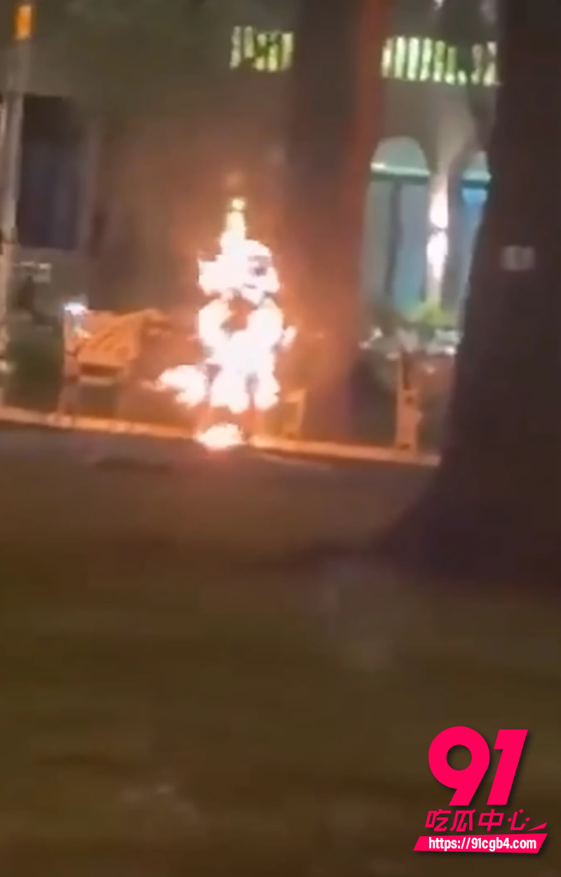 越南胡志明市公园自焚事件 6
