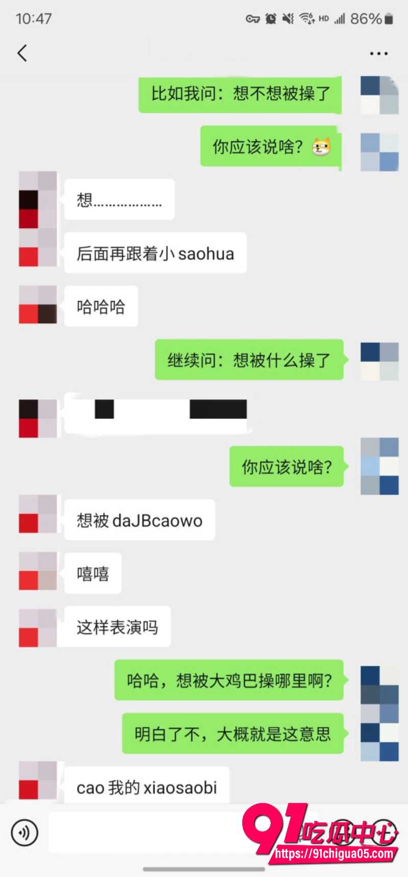 老虎菜9