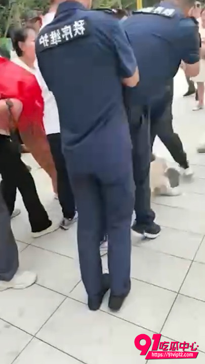保安打业主事件5