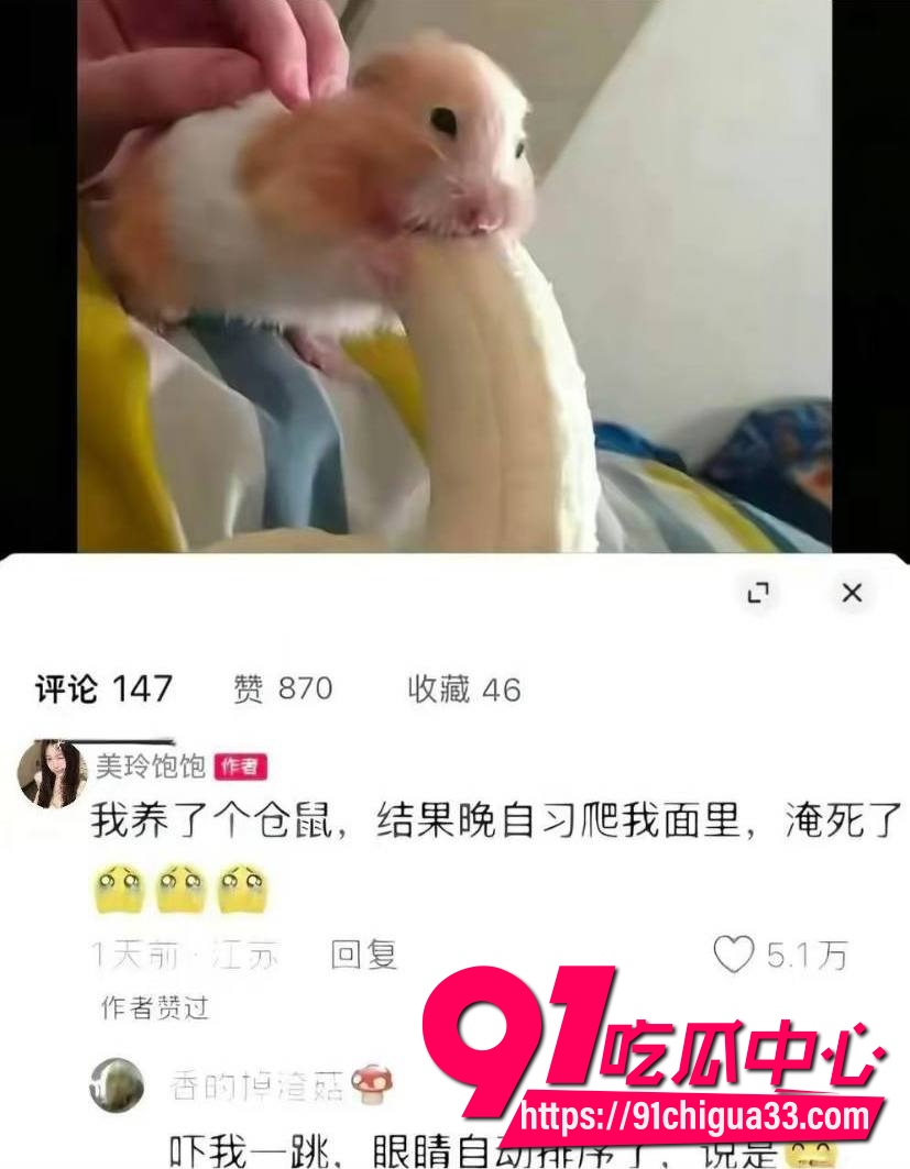 美玲饱饱涂涂小布9