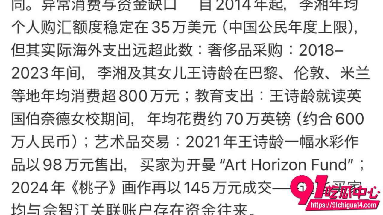 赵薇老公弟弟佘智江引渡回国16