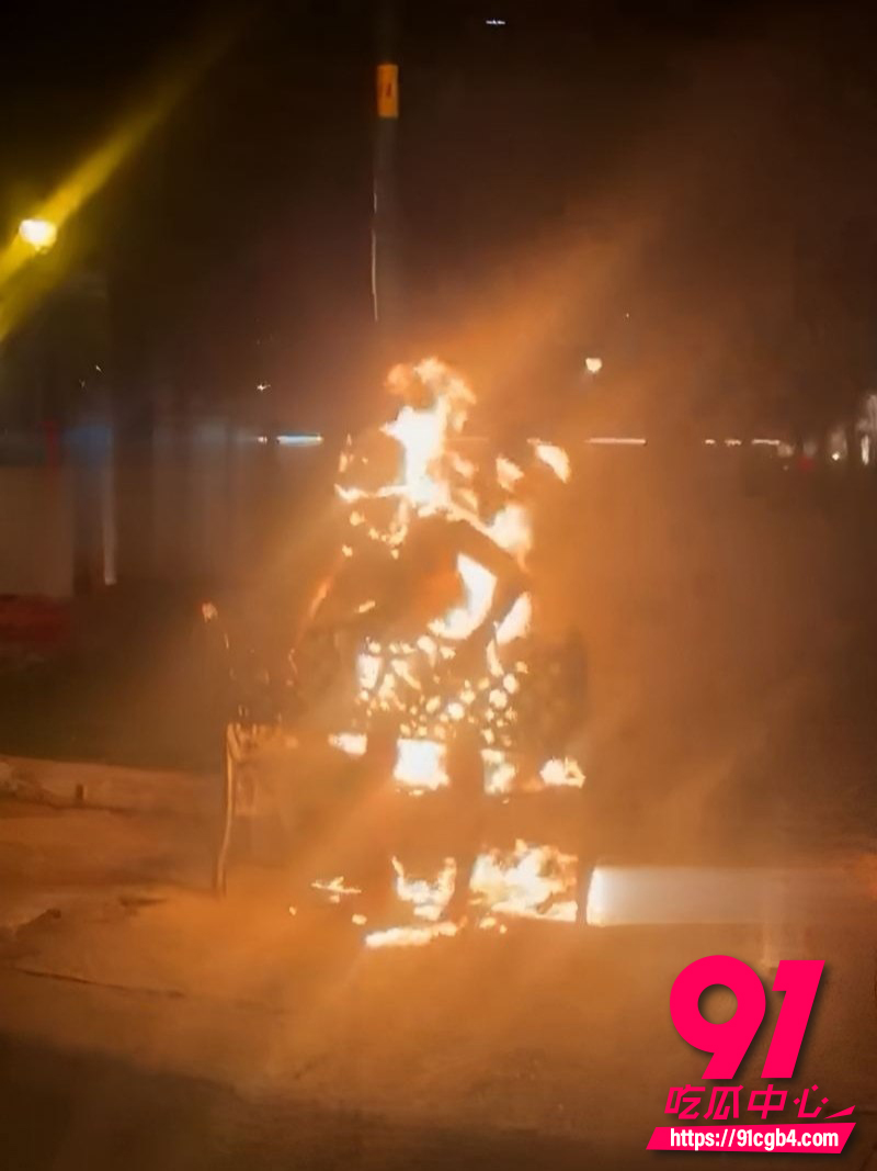 越南胡志明市公园自焚事件 3