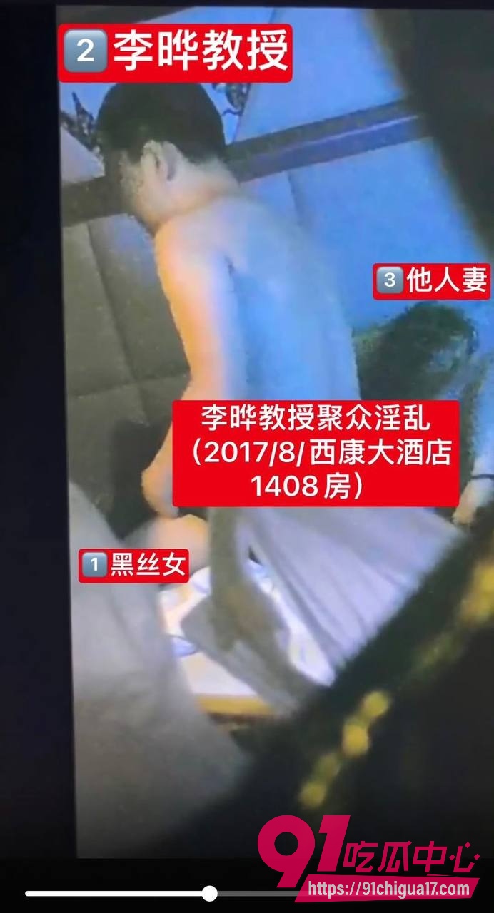 重庆大学医学院教授李晔26