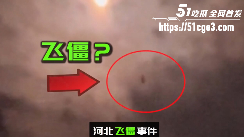 河北飞僵 高空黑影视频疯传 3 河北飞僵 高空黑影视频疯传 3
