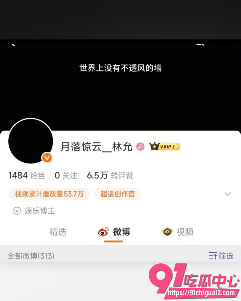 林允沈腾旧瓜翻新  18