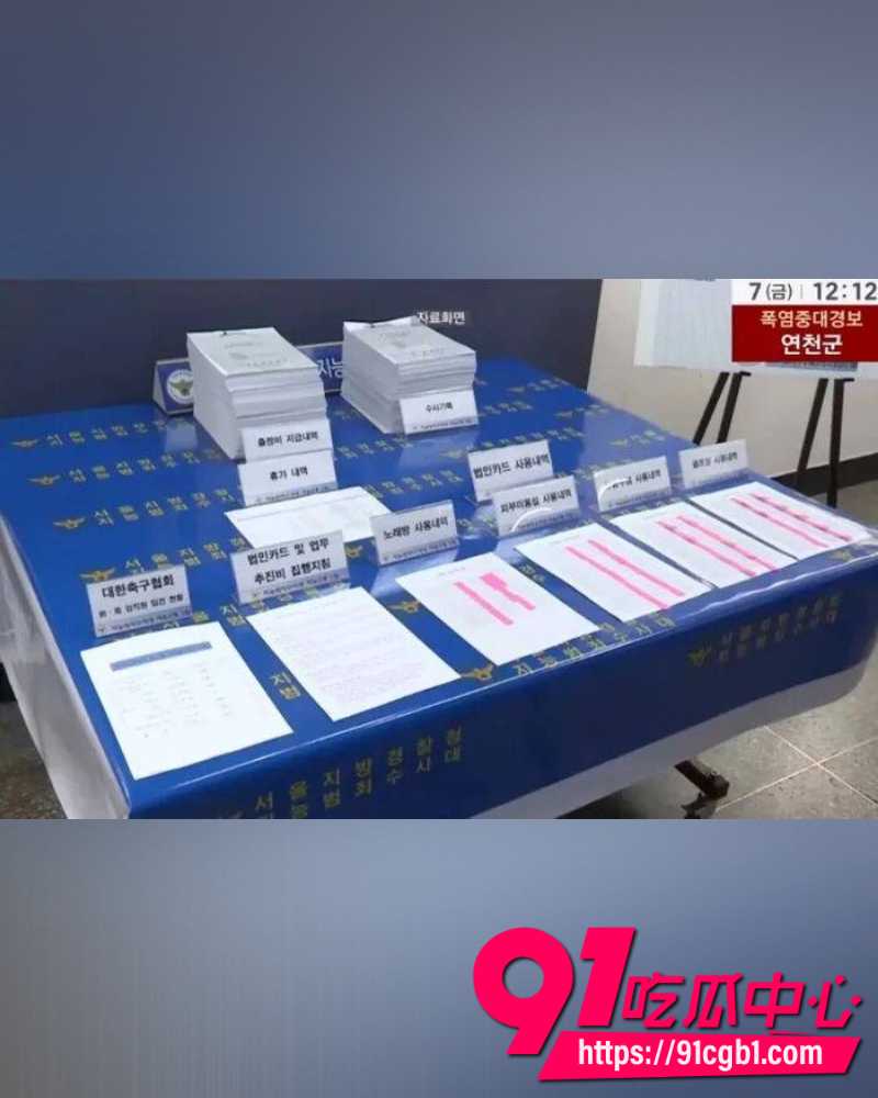 韩国足协曝光2012年性招待丑闻 17