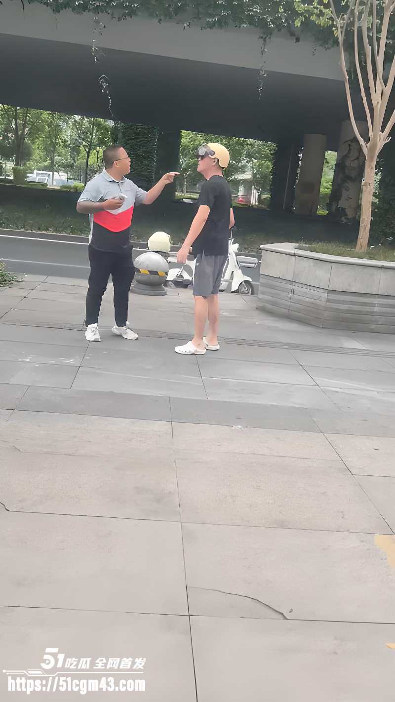 大爷街头怒怼顺丰小哥 遭其反杀锁喉 1