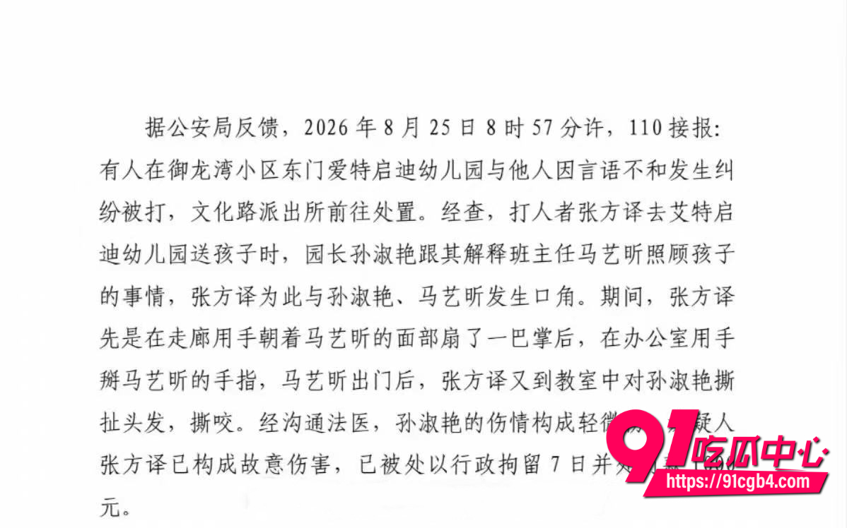 退伍女兵张姐大闹幼儿园 2