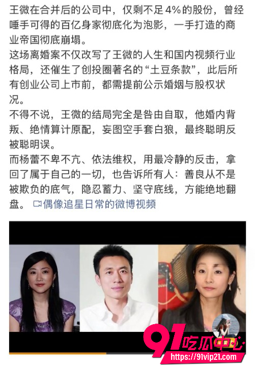 王微3