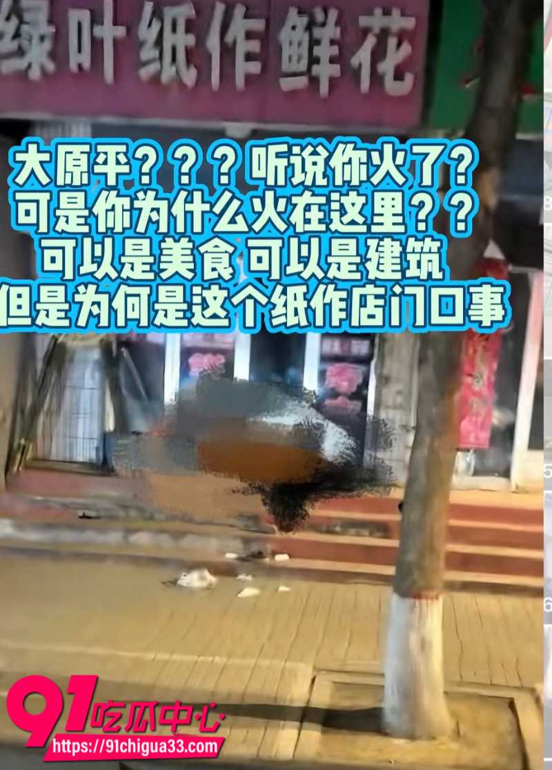 狼友跪求的山西忻州绿叶纸作鲜花店免费资源分享6