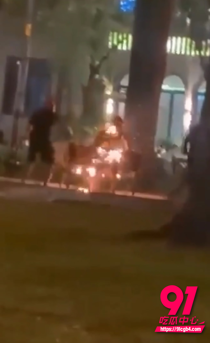 越南胡志明市公园自焚事件 7