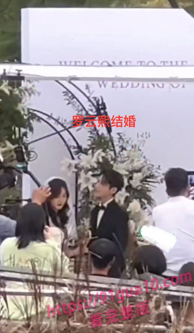 白鹿19 白鹿19