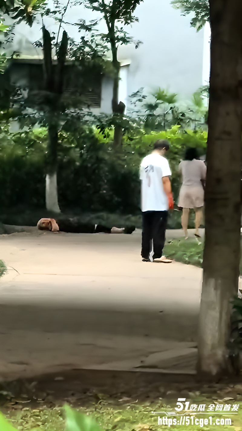 重庆理工大学 副教授持刀杀害副校长 11