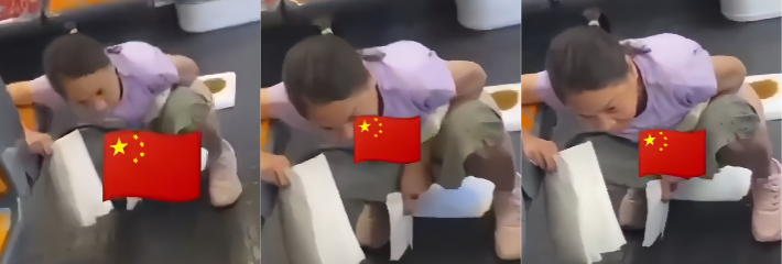 中国大妈在法国列车走道公然脱裤拉屎 全车乘客震惊目瞪口呆