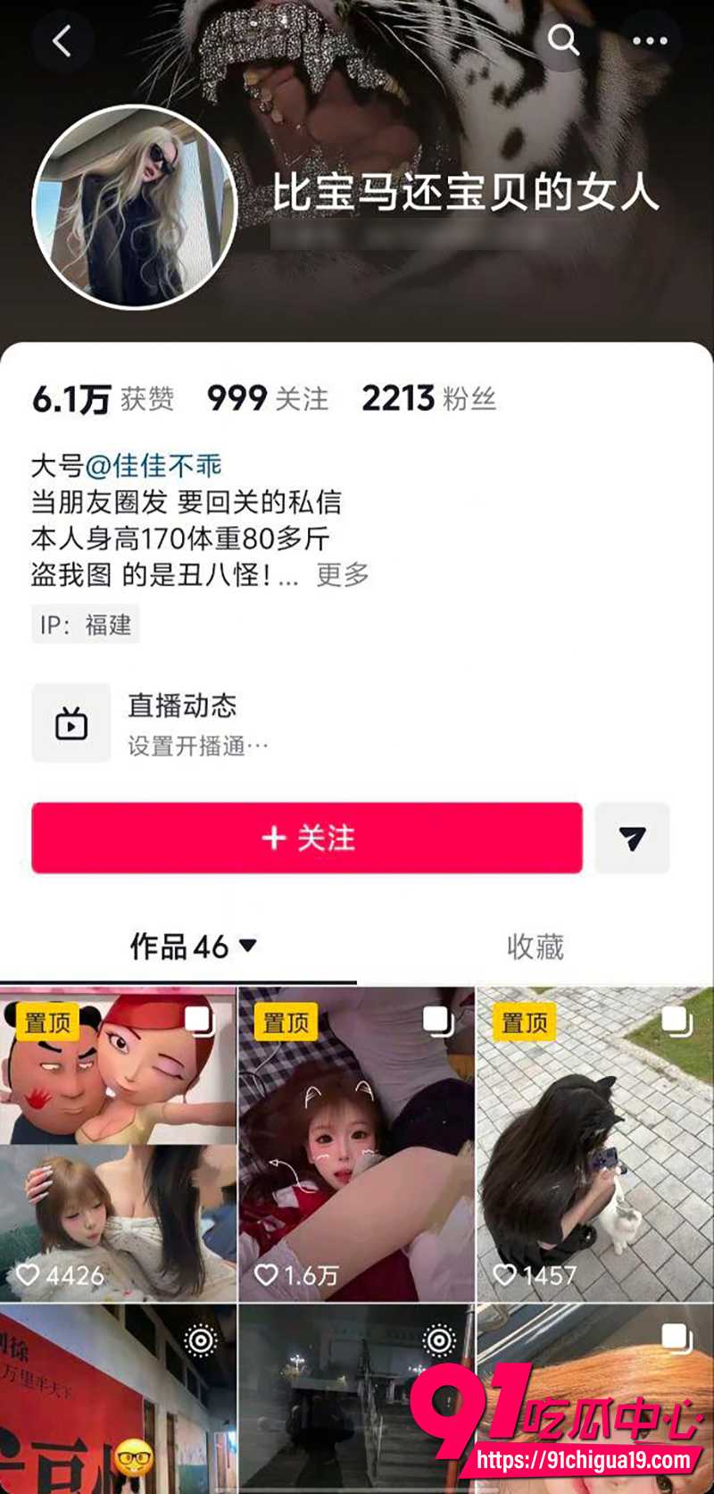 抖音网红猫小玉  1