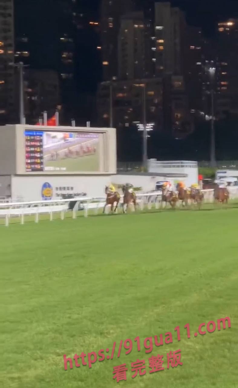 香港赛马5