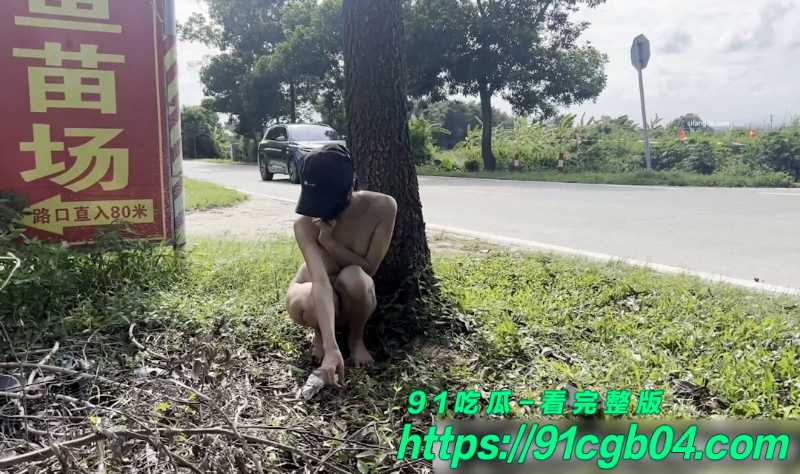 序列 2608.00094008