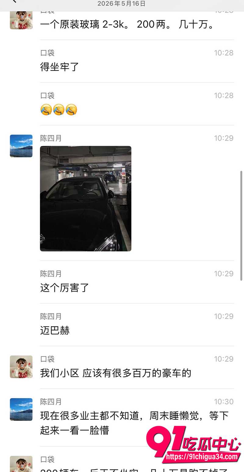少年狂砸200辆豪车 3