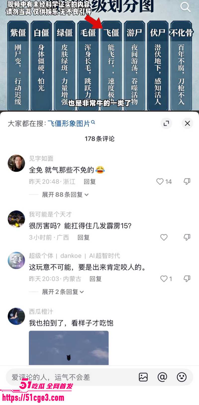 河北飞僵 高空黑影视频疯传  5