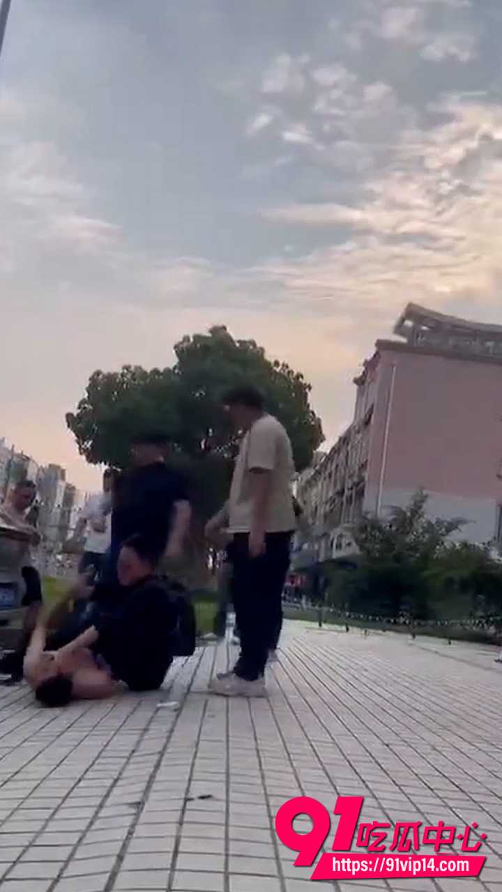 宠物碰瓷2
