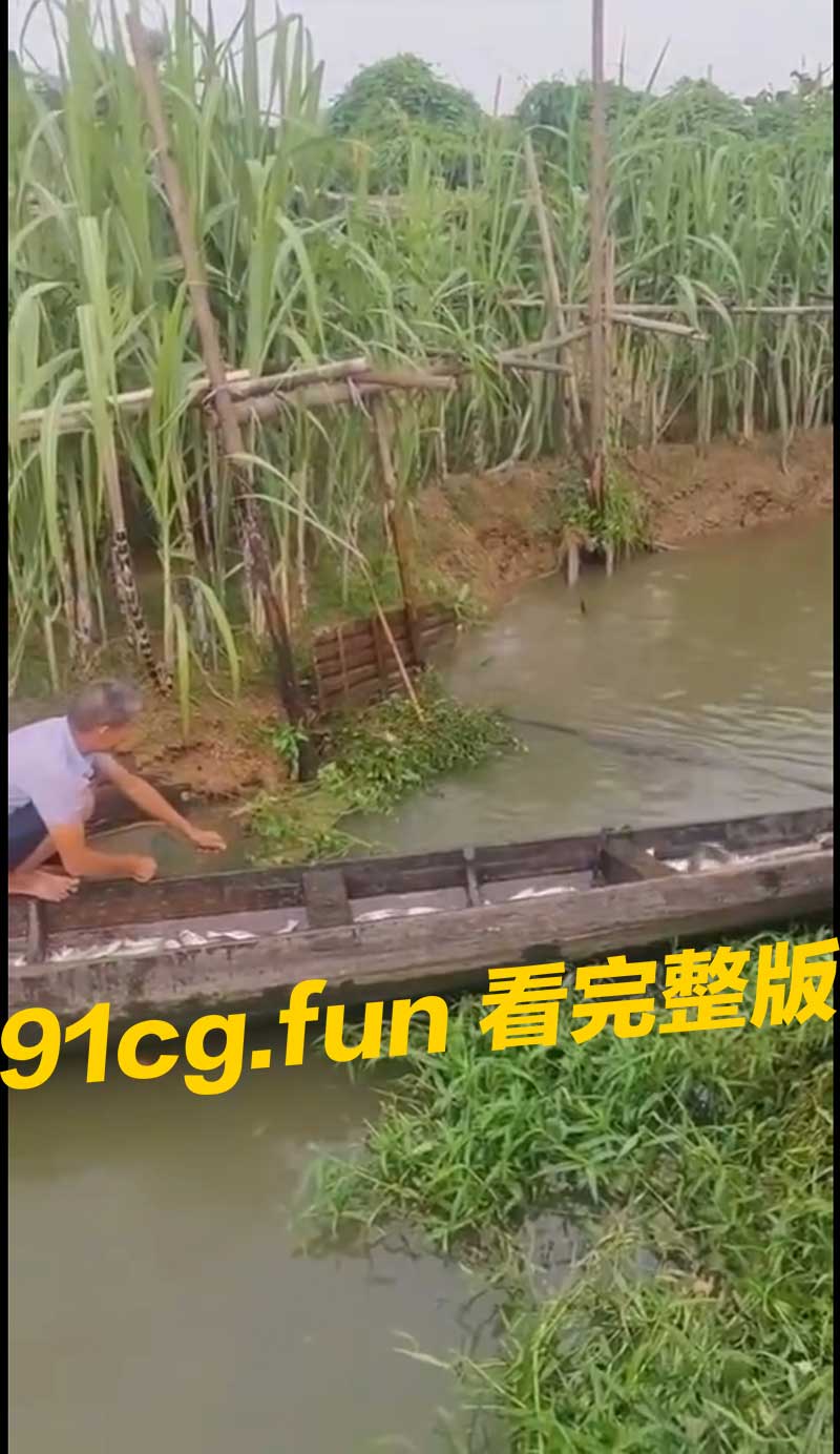 姜太公钓鱼，愿者上船 #钓鱼