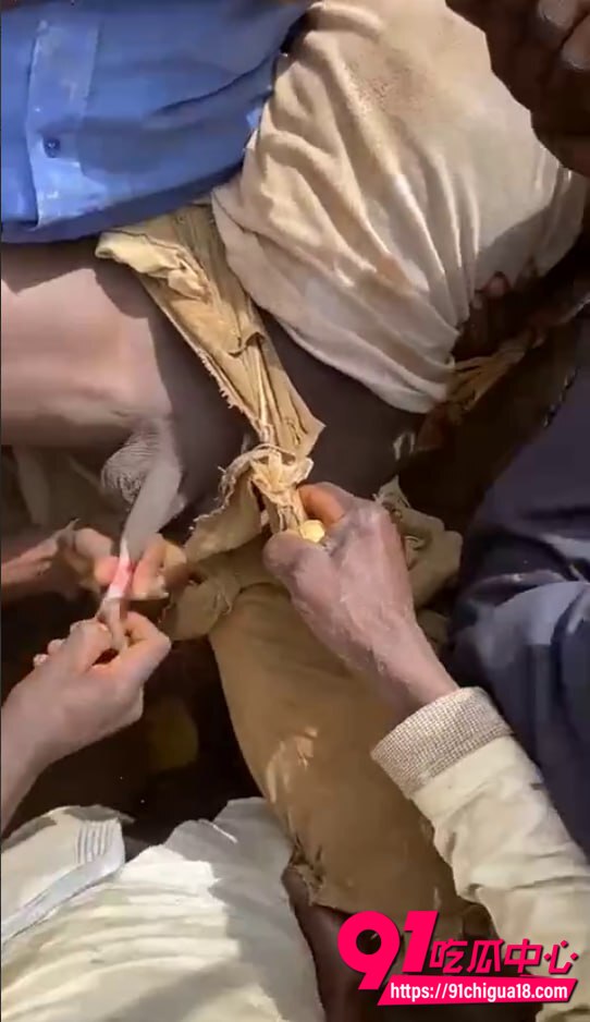 非洲割礼现场视频流出3