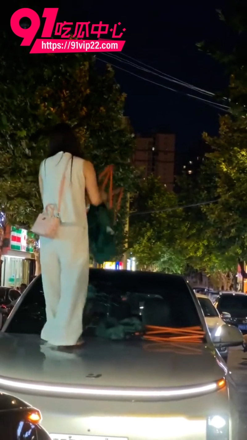 陕西洛南抓小三砸车事件2