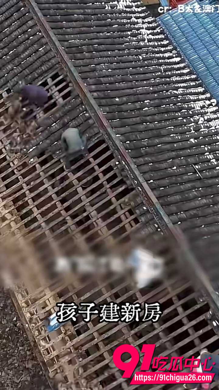2600万粉B太凉山扶贫18万彻底翻车7