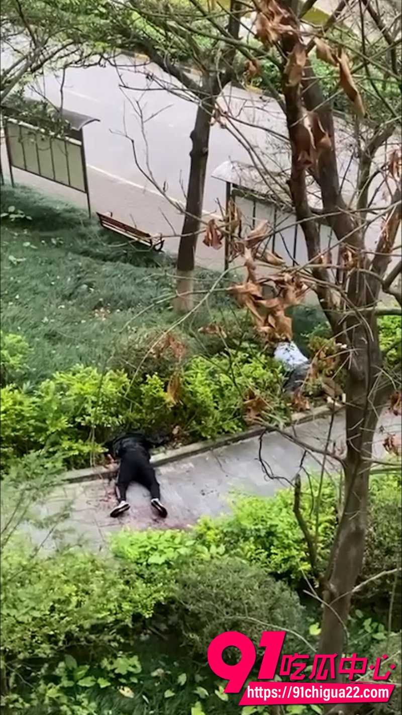 南宁翡翠园小区持刀伤人事件2