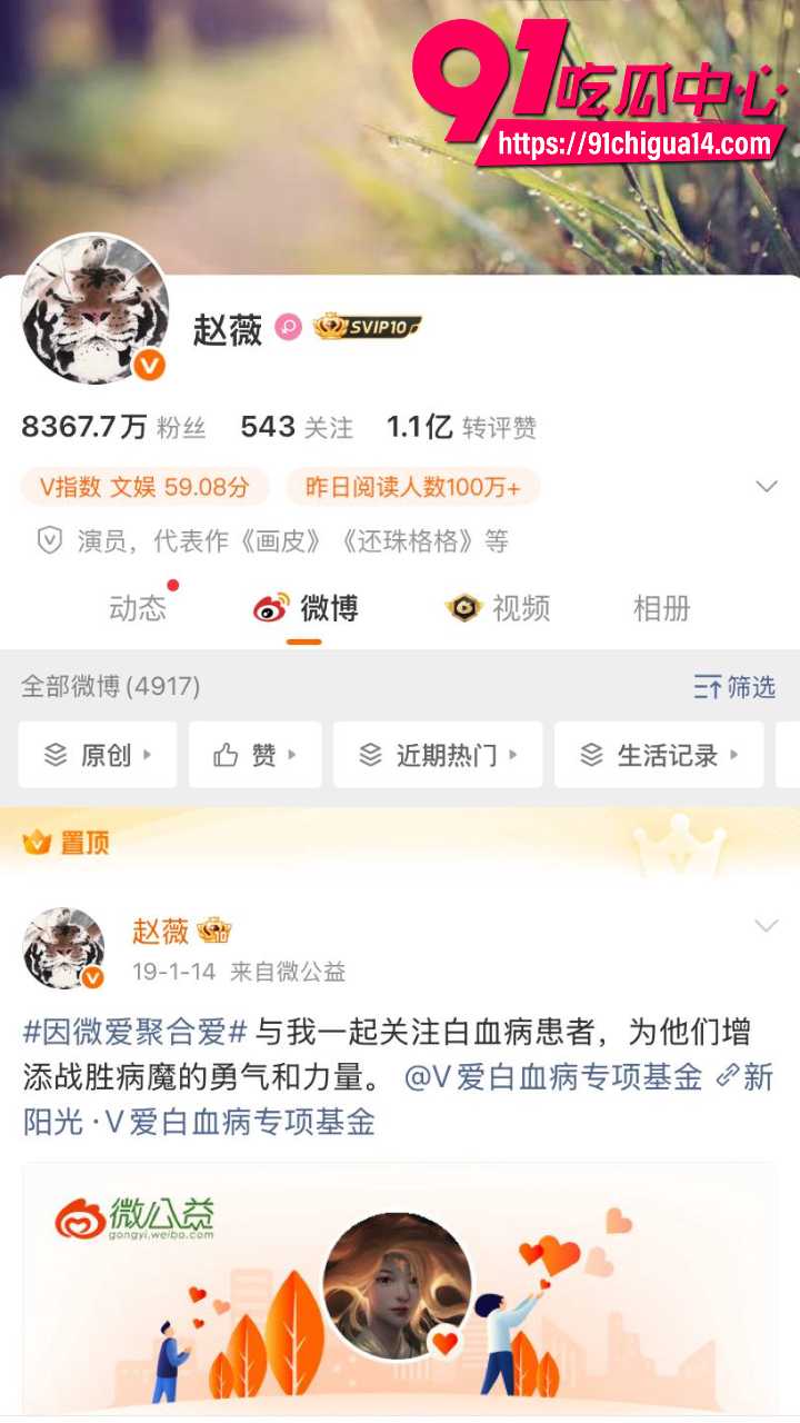赵薇老公弟弟佘智江引渡回国12 赵薇老公弟弟佘智江引渡回国12